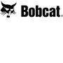bob cat